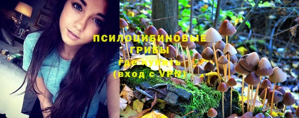 прущие крисы Аркадак