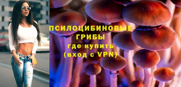шишки Алексеевка