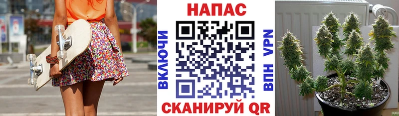 Каннабис THC 21% Могоча